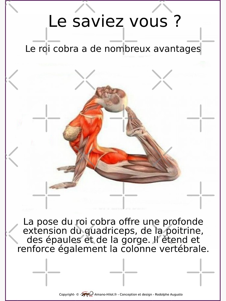 « Planches Musculo-squelettique des positions de Yoga - N°8 » par rodolphe-a