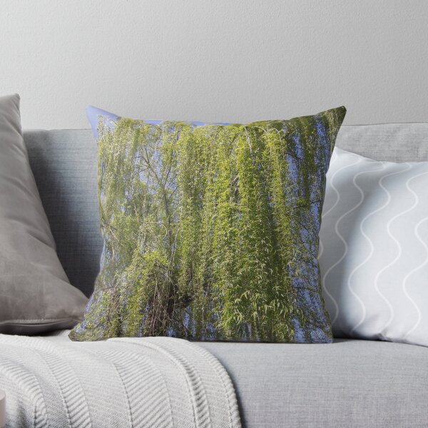 Throw Pillow