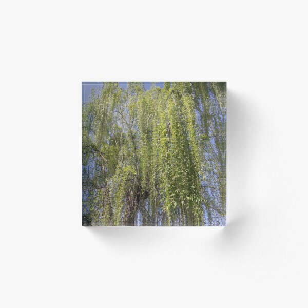 Acrylic Block