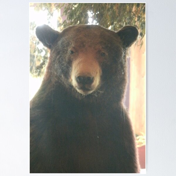 Item preview, Black bear designed and sold by BellsPainting.