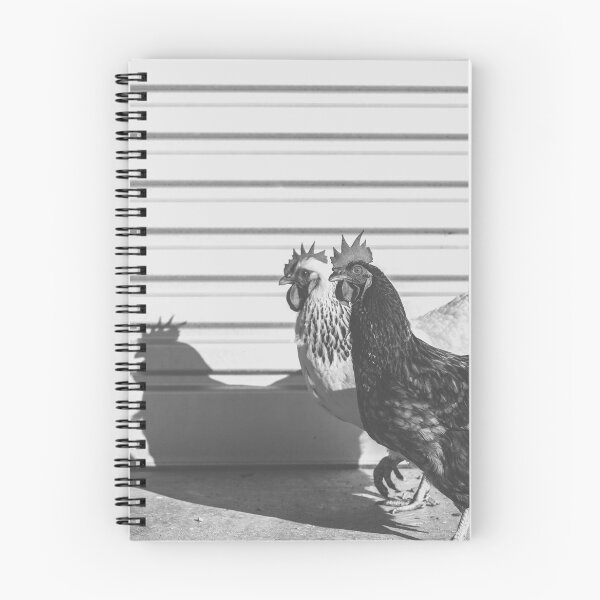 Item preview, My Girls - Chooks designed and sold by Dana Fatchen.