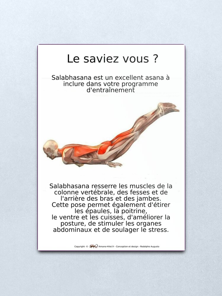 Impression métallique ''Planches Musculo-squelettique des positions de Yoga - N°9' : autre vue