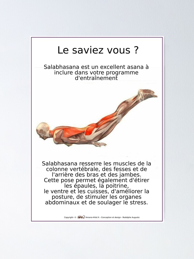 Poster ''Planches Musculo-squelettique des positions de Yoga - N°9' : autre vue