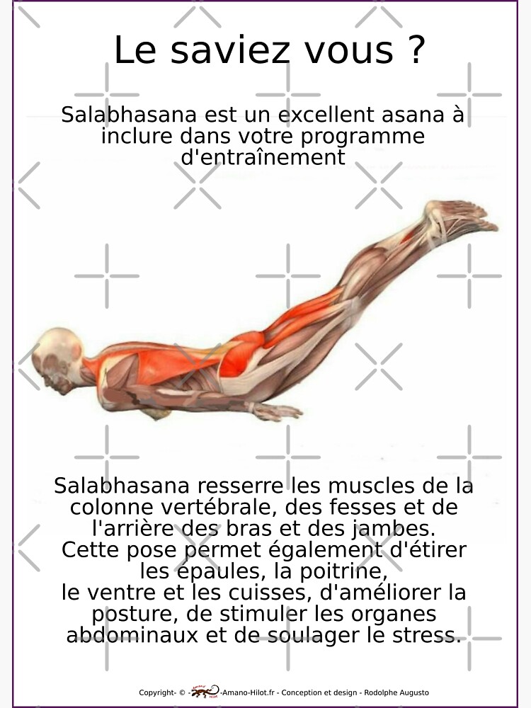 « Planches Musculo-squelettique des positions de Yoga - N°9 » par rodolphe-a