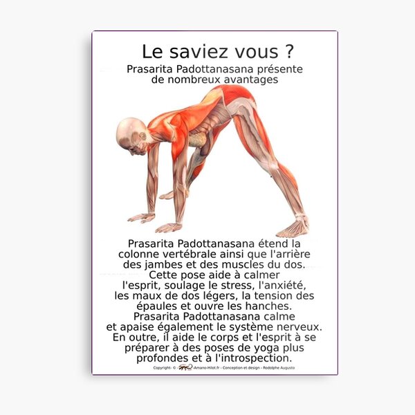 Musculoskeletal Planks Of Yoga Positions No 10 Metal Print By Rodolphe A Redbubble