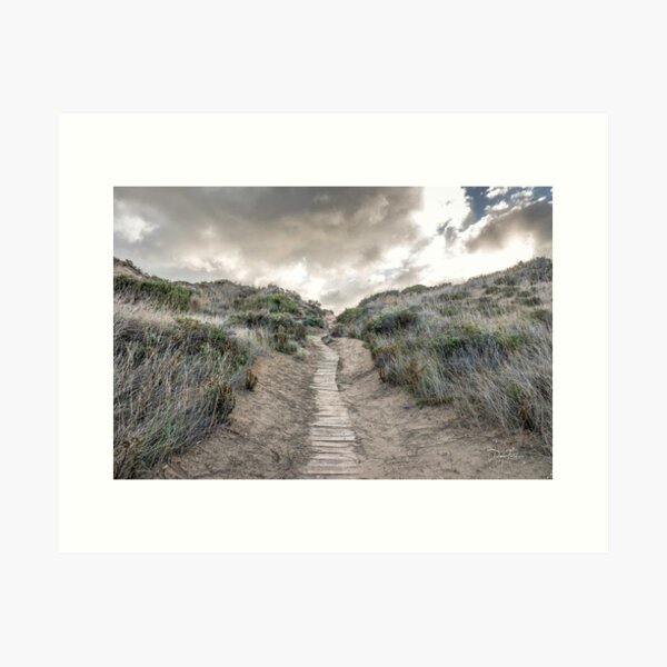 Item preview, The path we take designed and sold by Dana Fatchen.