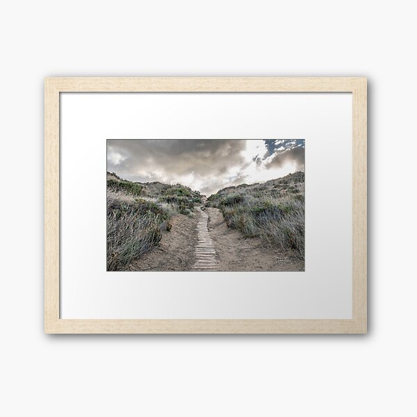 Item preview, The path we take designed and sold by Dana Fatchen.