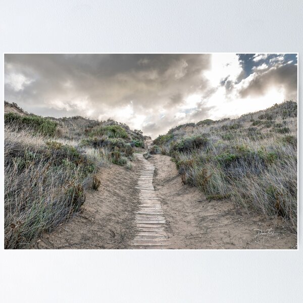 Item preview, The path we take designed and sold by Dana Fatchen.