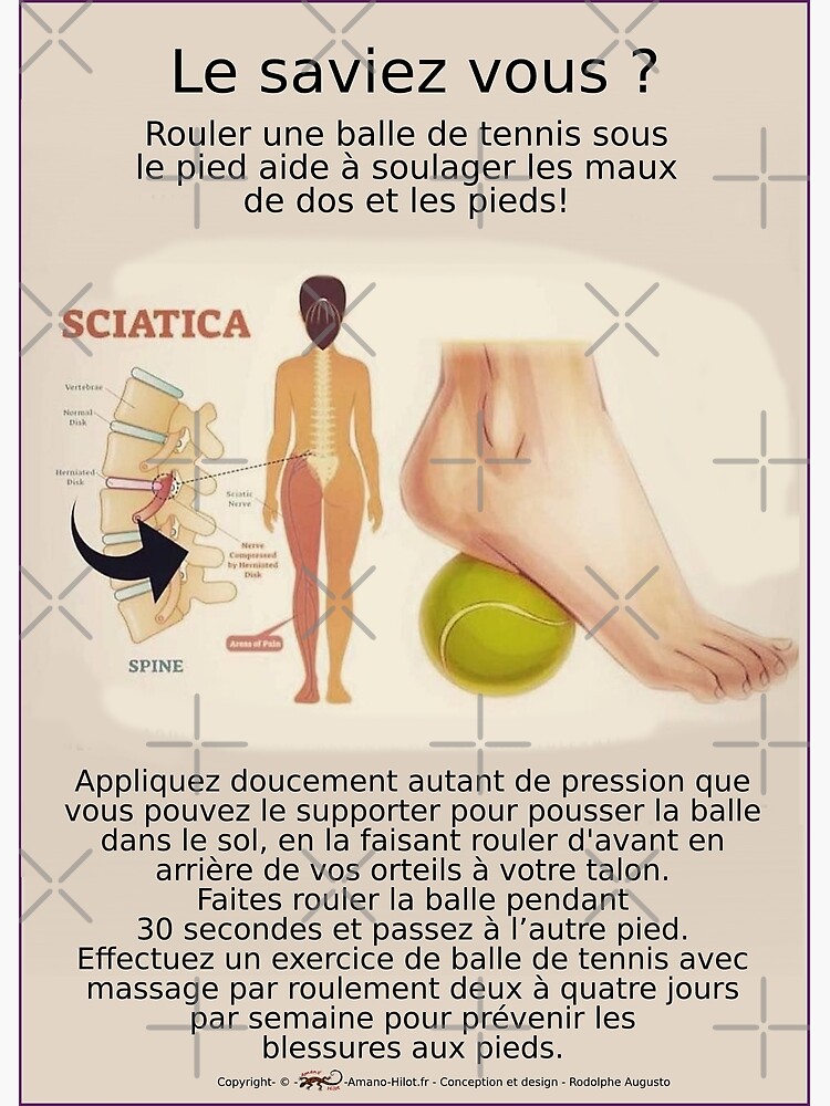 « Planches Musculo-squelettique des positions de Yoga - N°11 » par rodolphe-a