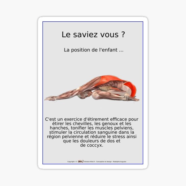Planches Musculo-squelettique des positions de Yoga - N°12 Sticker