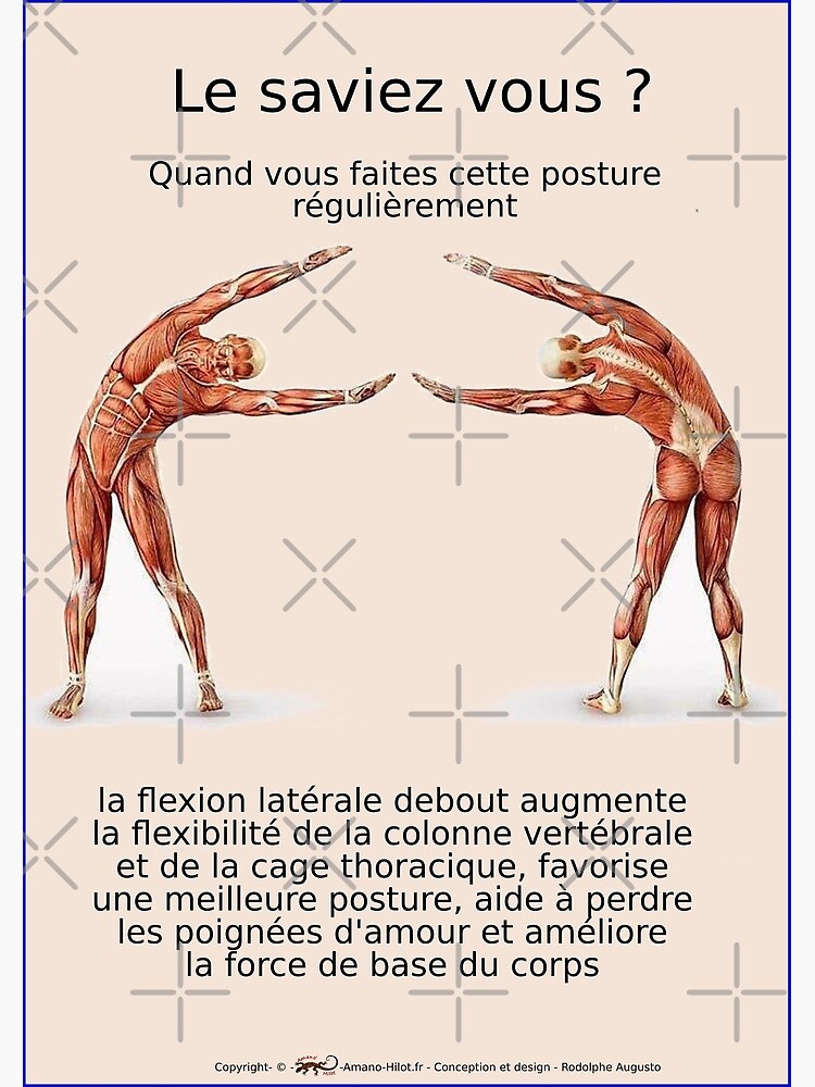 « Planches Musculo-squelettique des positions de Yoga - N°13 » par rodolphe-a