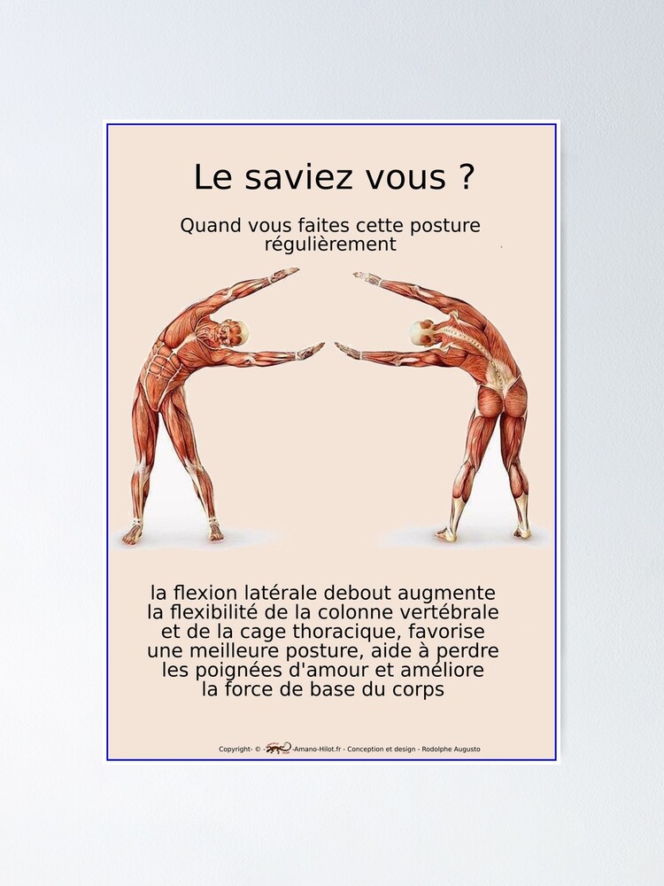 Poster ''Planches Musculo-squelettique des positions de Yoga - N°13' : autre vue