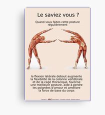 Planches Musculo-squelettique des positions de Yoga - N°13 Impression sur toile