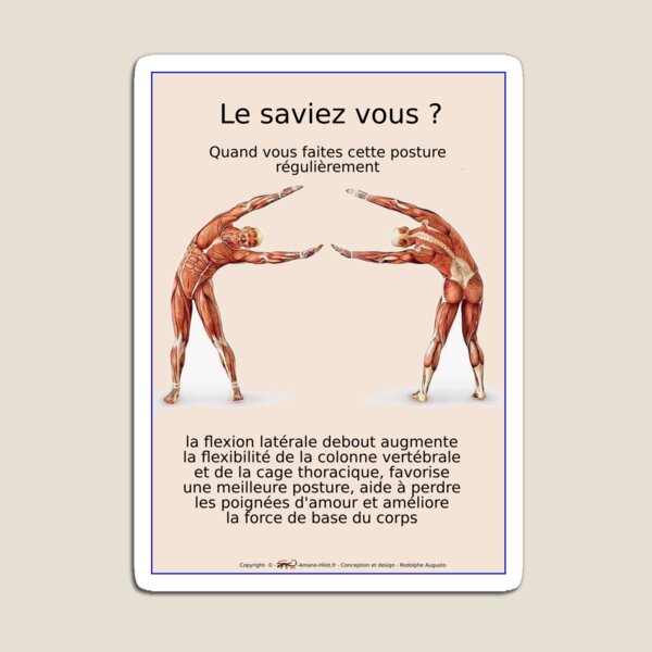 Planches Musculo-squelettique des positions de Yoga - N°13 Magnet