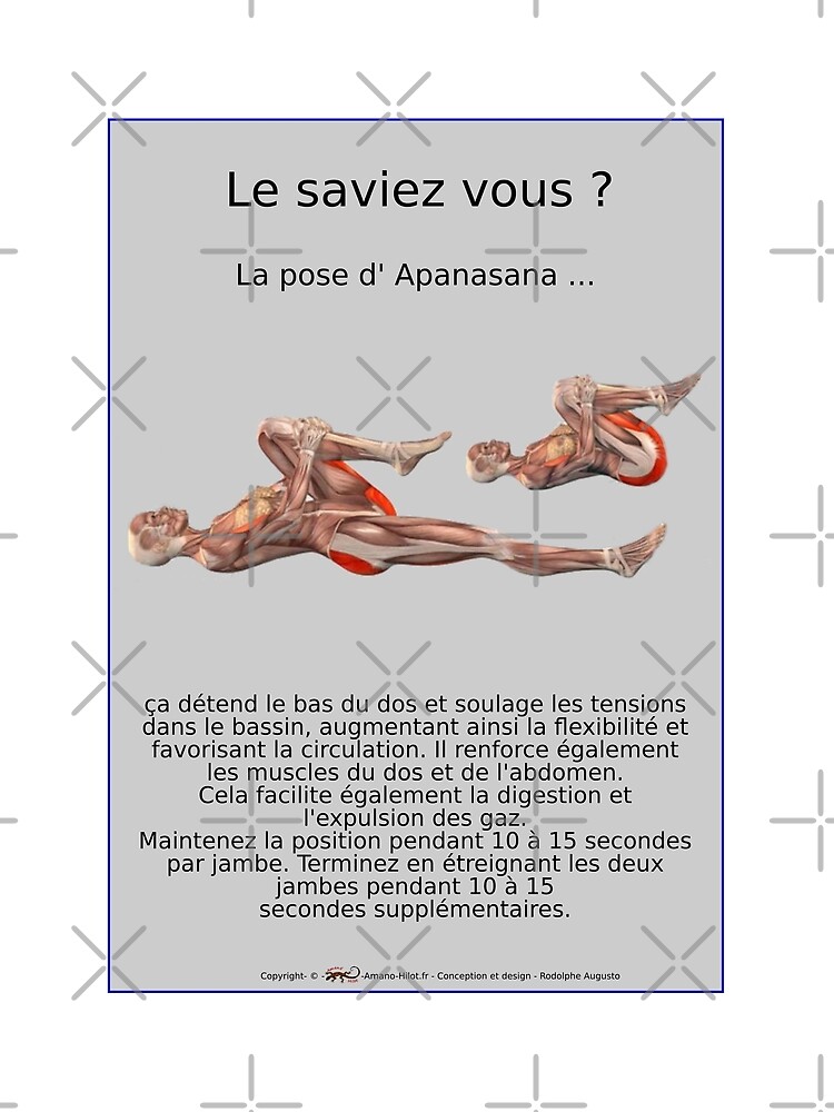 « Planches Musculo-squelettique des positions de Yoga - N°15 » par rodolphe-a