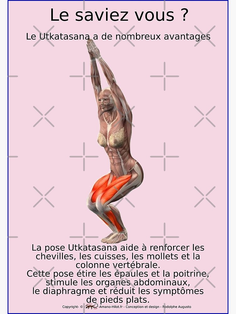 « Planches Musculo-squelettique des positions de Yoga - N°19 » par rodolphe-a