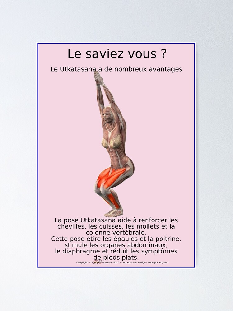 Poster ''Planches Musculo-squelettique des positions de Yoga - N°19' : autre vue