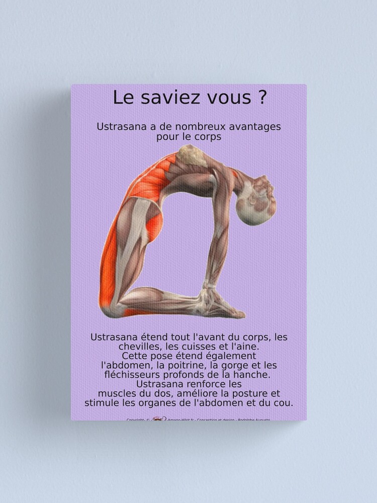 Impression sur toile ''Planches Musculo-squelettique des positions de Yoga - N°1' : autre vue