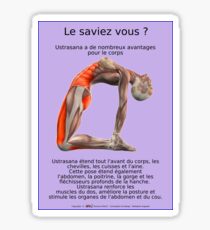 Planches Musculo-squelettique des positions de Yoga - N°1 Sticker