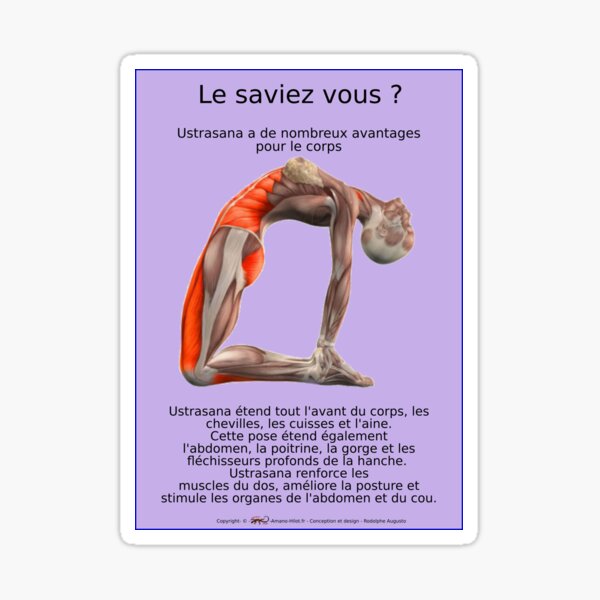 Planches Musculo-squelettique des positions de Yoga - N°1 Sticker