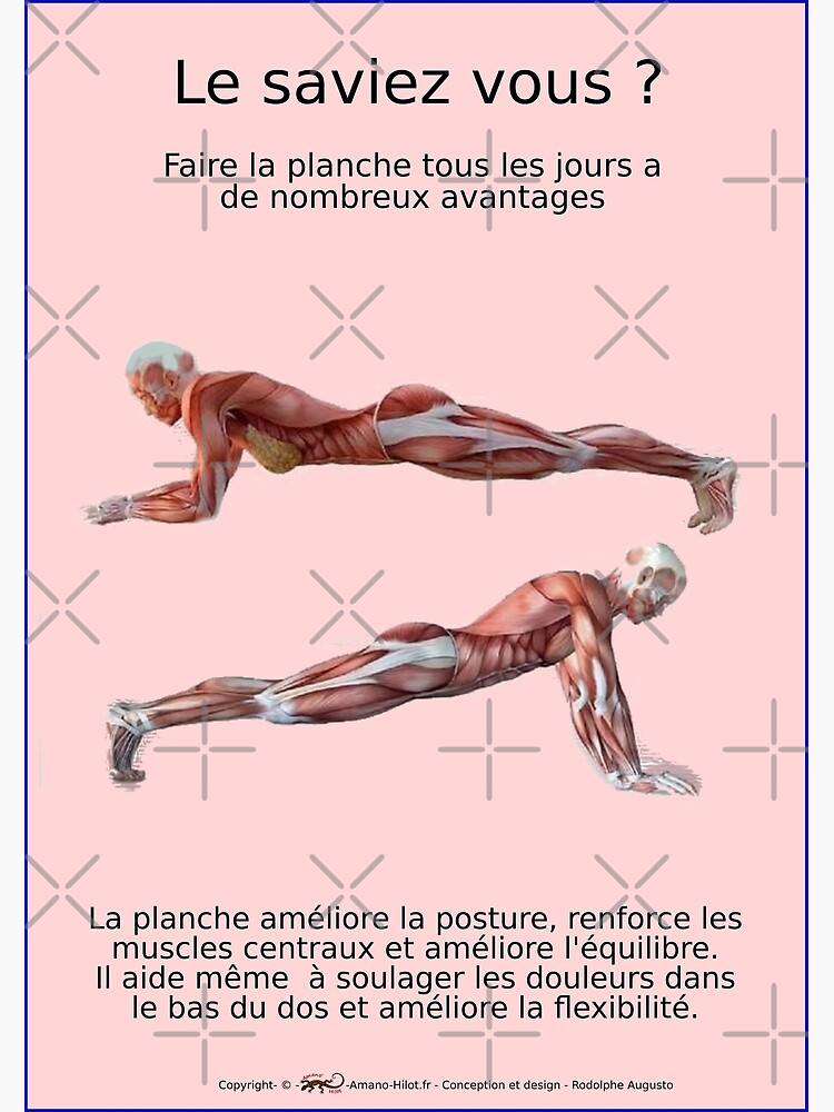 « Planches Musculo-squelettique des positions de Yoga - N°22 » par rodolphe-a