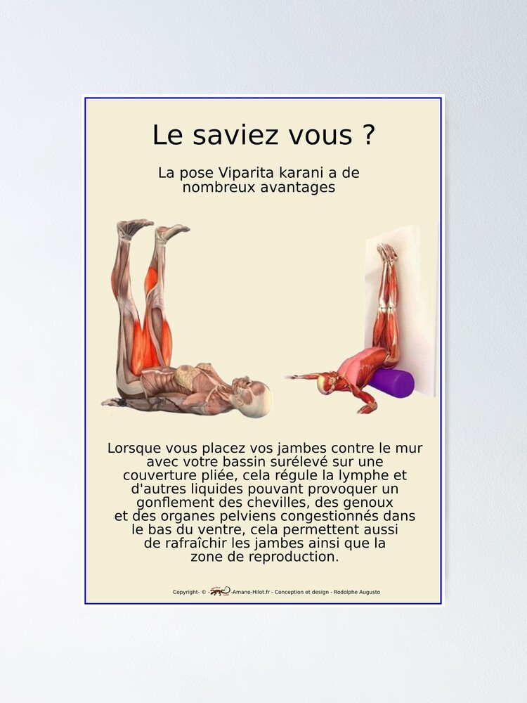 Poster ''Planches Musculo-squelettique des positions de Yoga - N°23' : autre vue