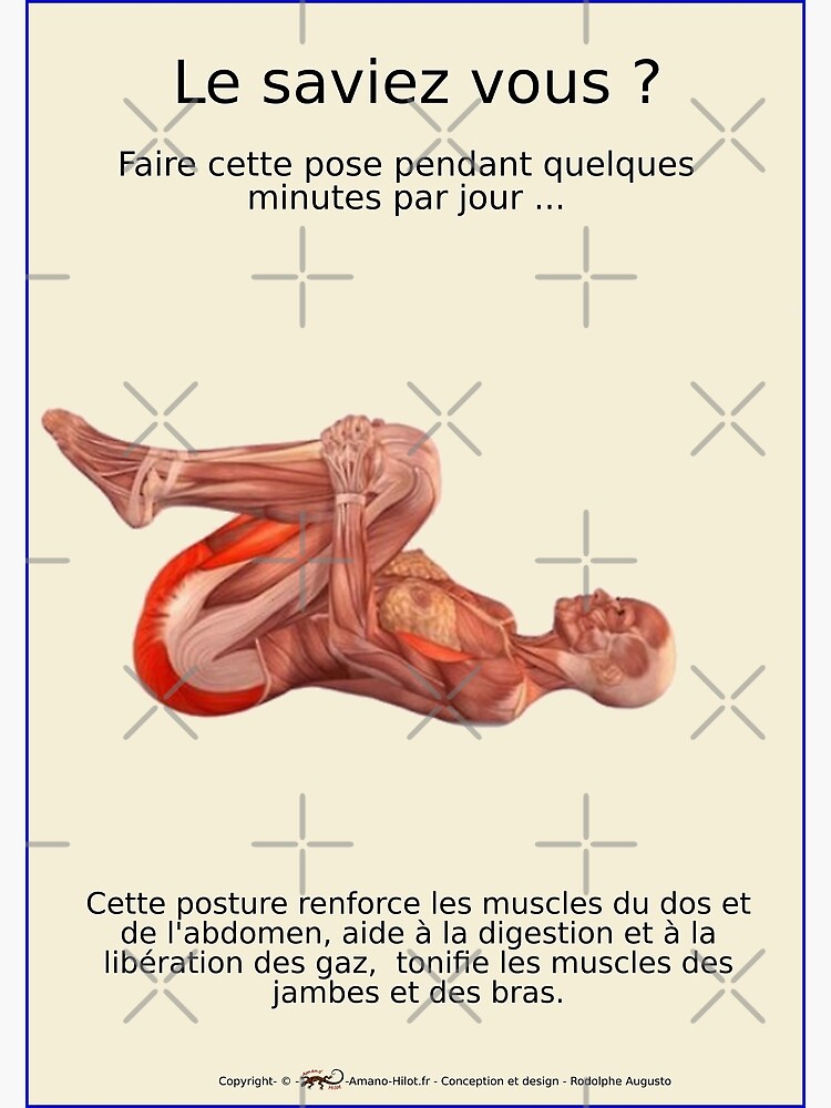« Planches Musculo-squelettique des positions de Yoga - N°24 » par rodolphe-a