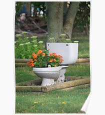 a flush of flowers Poster