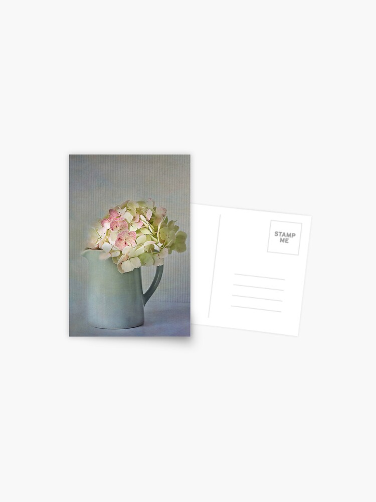 postcard hydrangeas