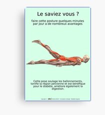 Planches Musculo-squelettique des positions de Yoga - N°26 Impression sur toile