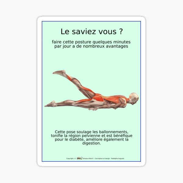 Planches Musculo-squelettique des positions de Yoga - N°26 Sticker