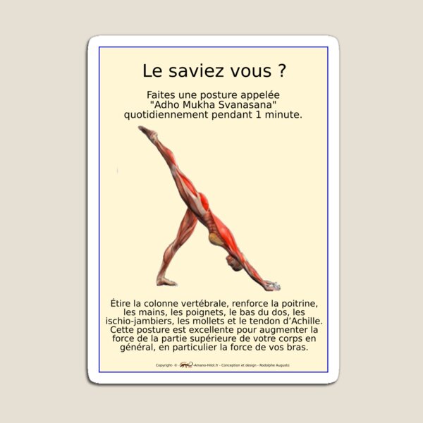 Planches Musculo-squelettique des positions de Yoga - N°27 Magnet