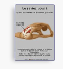 Planches Musculo-squelettique des positions de Yoga - N°28 Impression sur toile