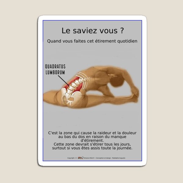 Planches Musculo-squelettique des positions de Yoga - N°28 Magnet