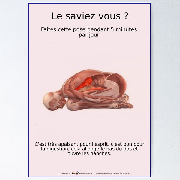 Item preview, Musculoskeletal Planks of Yoga Positions - No. 29 designed and sold by rodolphe-a.