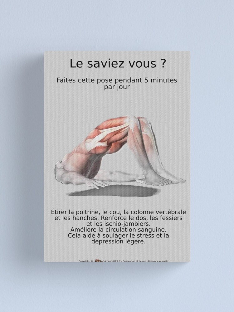 Impression sur toile ''Planches Musculo-squelettique des positions de Yoga - N°31' : autre vue
