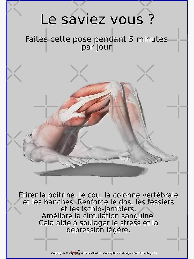 « Planches Musculo-squelettique des positions de Yoga - N°31 » par rodolphe-a