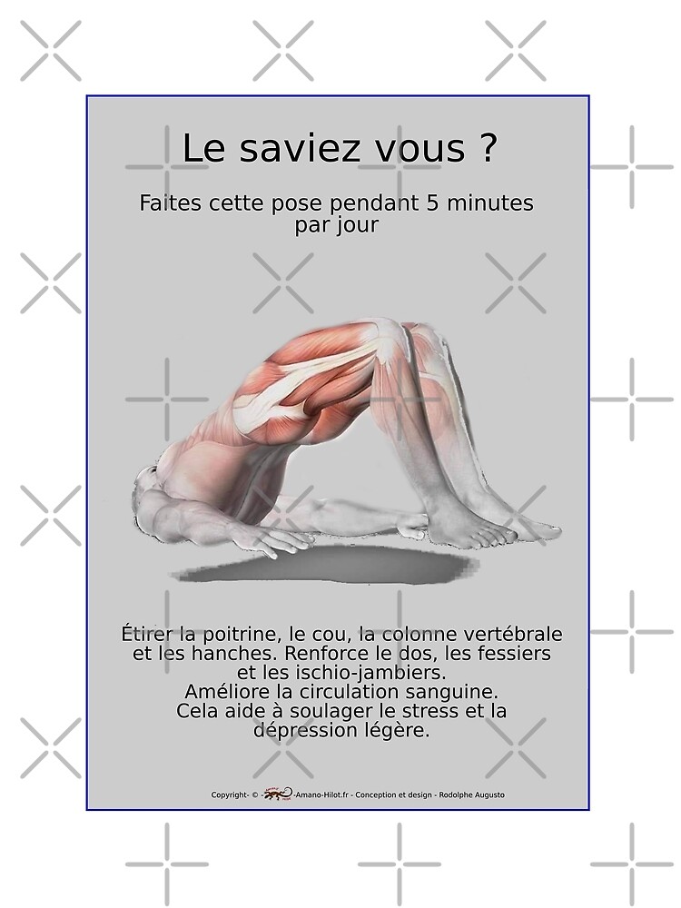 « Planches Musculo-squelettique des positions de Yoga - N°31 » par rodolphe-a