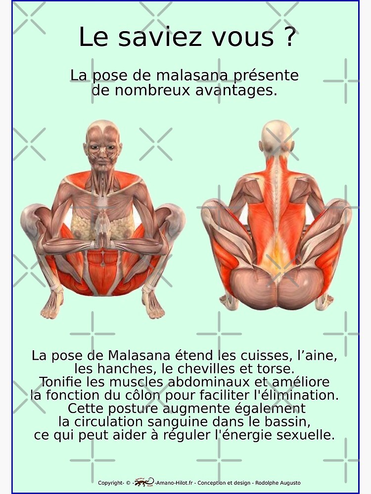 « Planches Musculo-squelettique des positions de Yoga - N°34 » par rodolphe-a