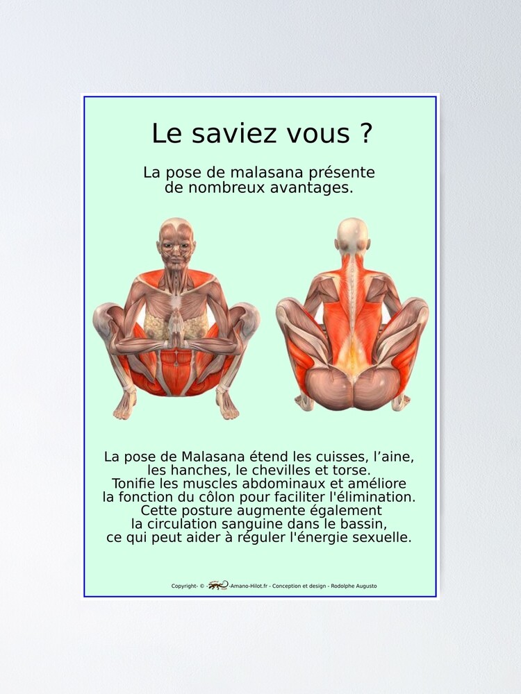 Poster ''Planches Musculo-squelettique des positions de Yoga - N°34' : autre vue