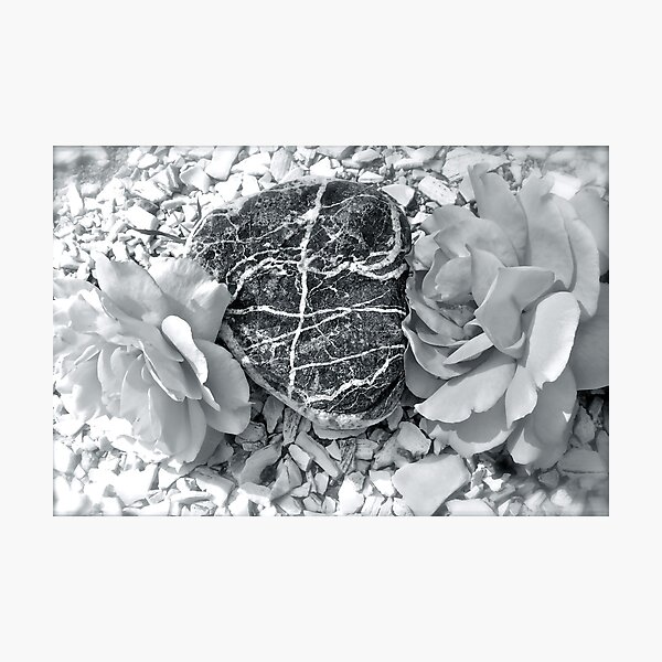 Item preview, Heart Of Stone - Amongst the Roses - Found on the Beach designed and sold by Jack McCabe.