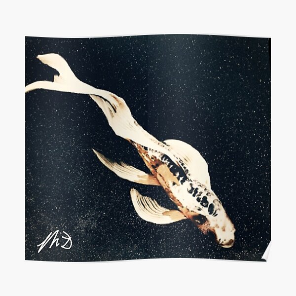 The Nightly Swim of the Koi Fish Poster