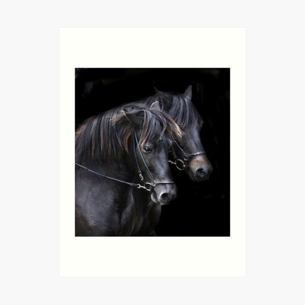 Ponies in the dark Art Print