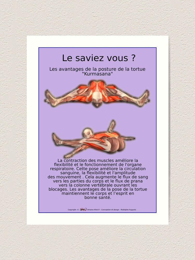 Impression artistique ''Planches Musculo-squelettique des positions de Yoga - N°39' : autre vue