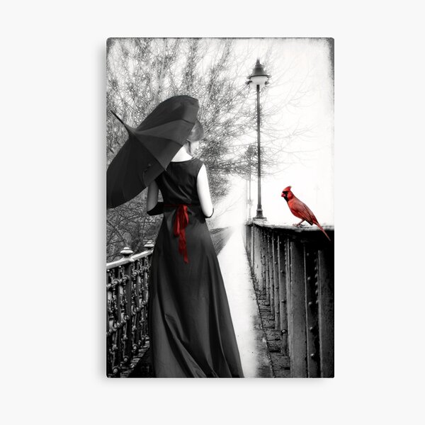Serendipity... Canvas Print