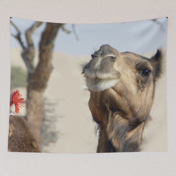 Item preview, Moroccan dromedary camel designed and sold by Anna Lemos.