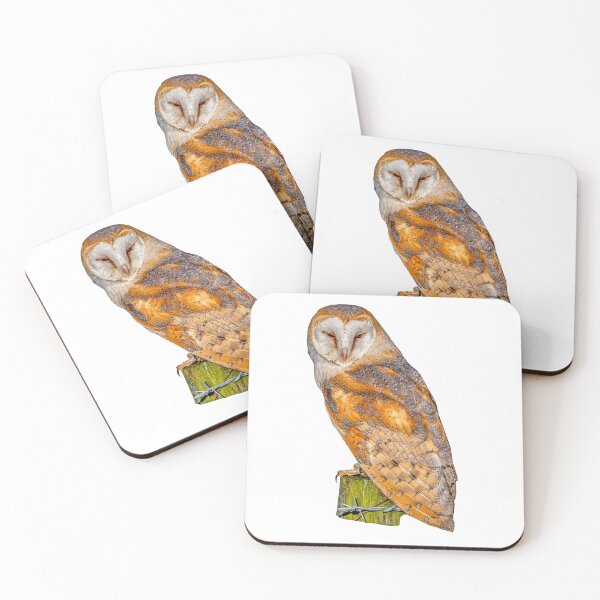Item preview, Barn Owl sitting in the evening sun designed and sold by Dalyndigital Photography.