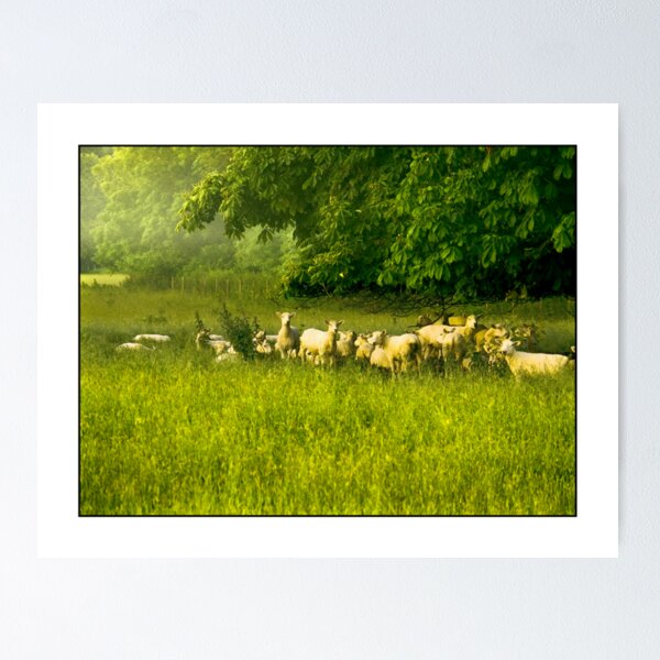 Item preview, English Countryside designed and sold by R. Fyfe.