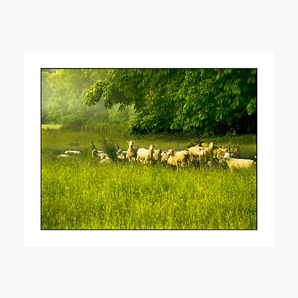 Aperçu de l'œuvre English Countryside créée et vendue par R. Fyfe.