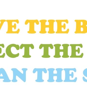 Artwork thumbnail, Save The Bees, Protect The Trees, Clean The Seas by Shayli Kipnis